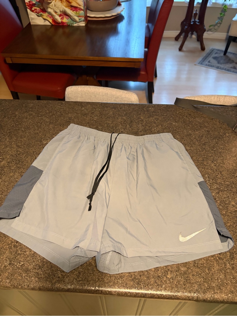 Nike Men’s Light Blue Running Shorts 7” Lined